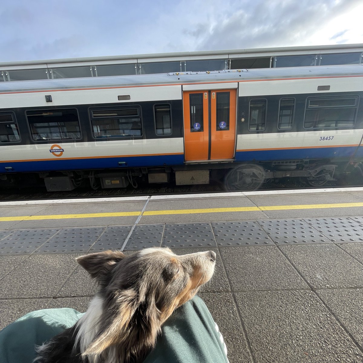 danchol's tweet image. Sundehhhhh