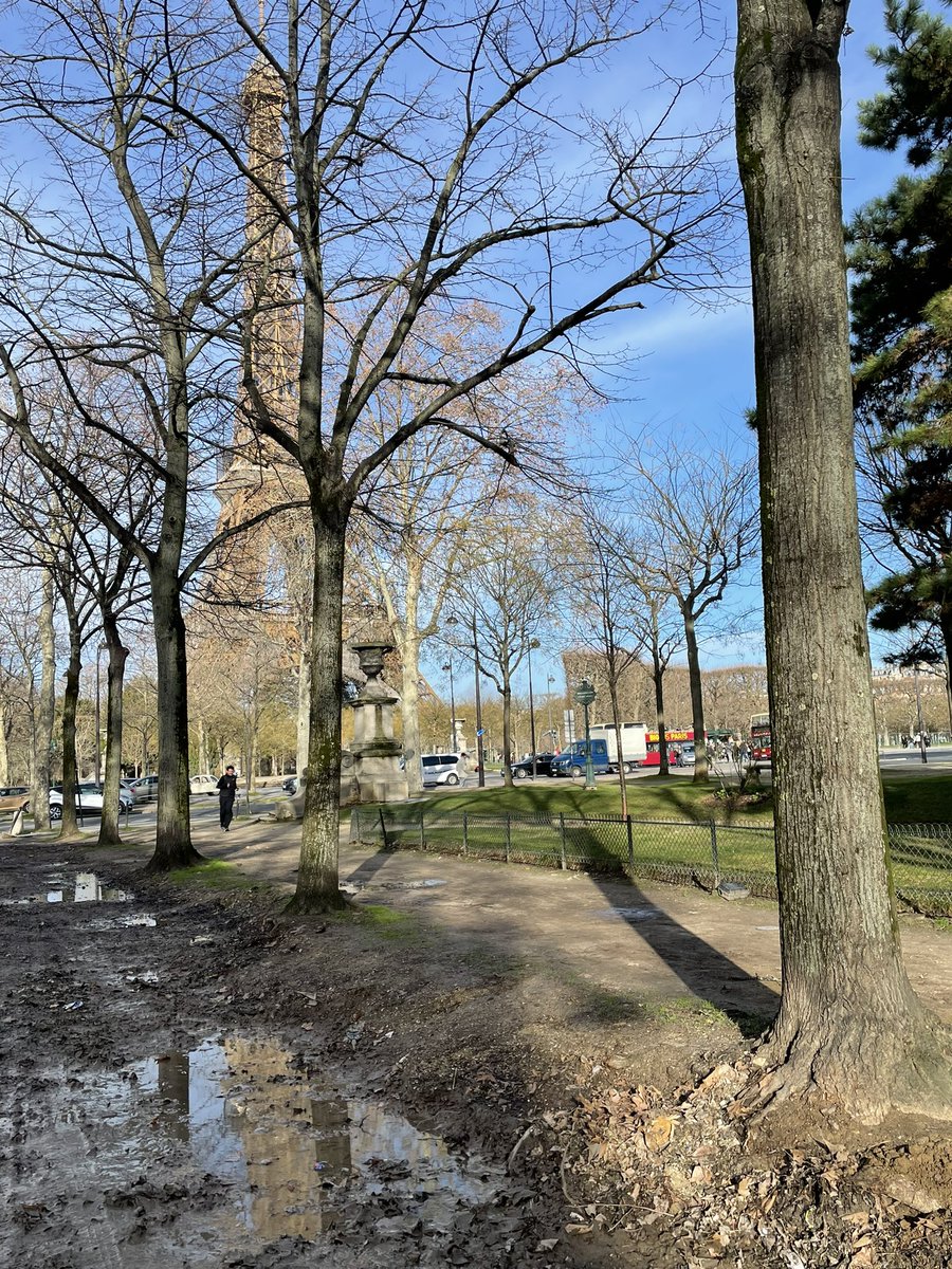 ⚠️Les arbres du Champ de Mars en péril : le passage répété des poids lourds (événementiel, stockage des feuilles mortes…) a creusé des ornières telles que les racines sont aujourd’hui mises à nu. 

🆘 #ChampdeMars 🌿