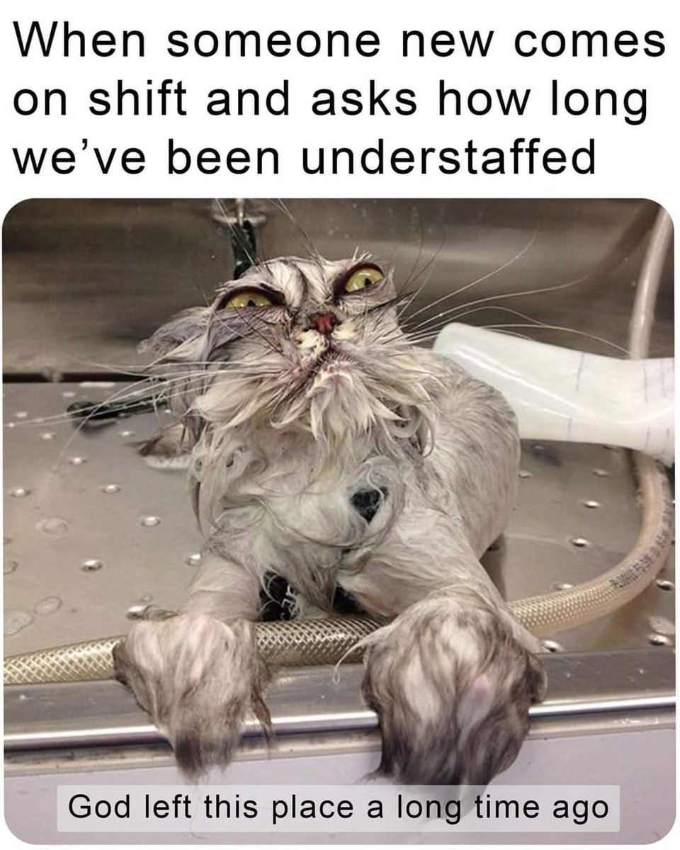 HD_SILVERZ71's tweet photo. #workplace https://t.co/3f8LwXKKoG