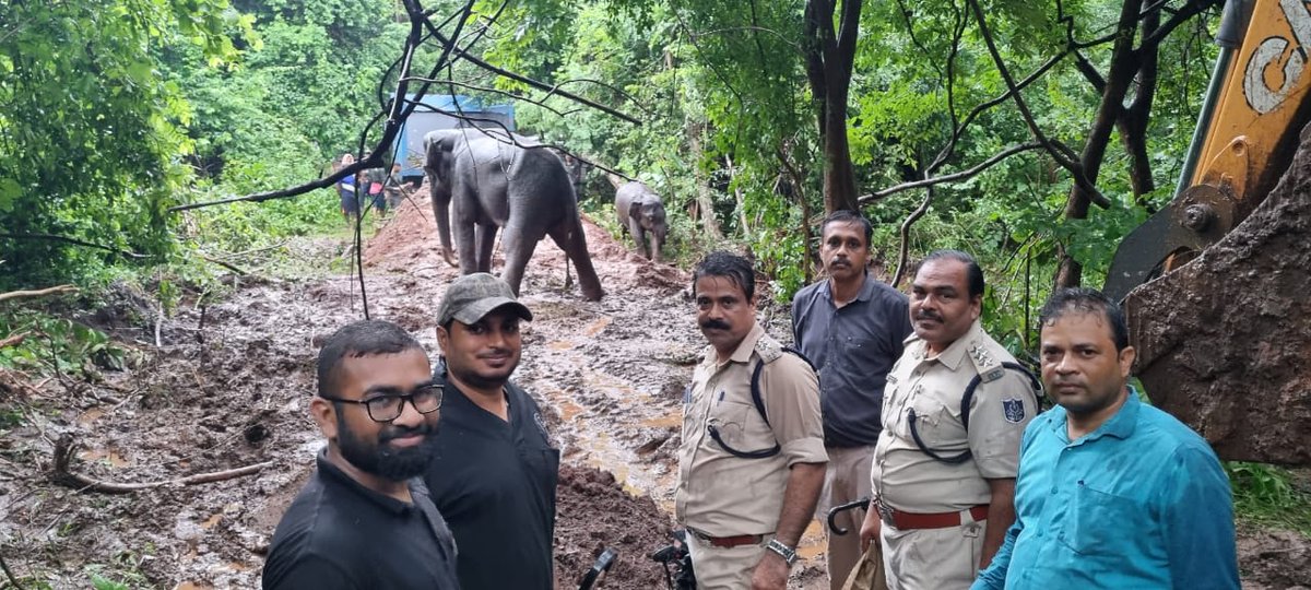 DfoDhenkanal's tweet photo. Two #elephants, adult female and calf were rescued from Cuttack, Jagatpur industrial area and rehabilitated in the wild within a week. This is how #Dhenkanal Forest Division did it 👇 https://t.co/rH8blRn6QL
@ForestDeptt @moefcc @pccfodisha https://t.co/Z5w8GC4Fde