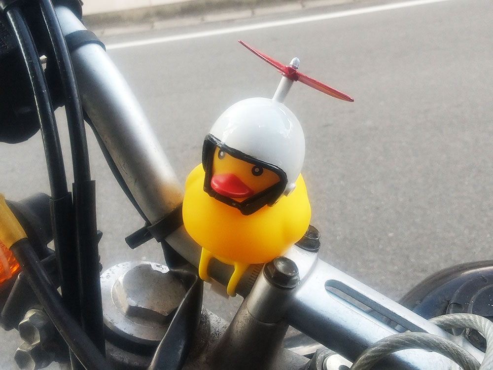 tinypoool's tweet photo. #bicyclepuffhorn 
#あひるちゃん 
#daiso 
#duck
#ducky
#rubberduck
#rubberducks
#yellowduck
#bathduck
#dtracker 
#dトラ 
#dtracker250
#通勤快速 https://t.co/17zKauWPsX