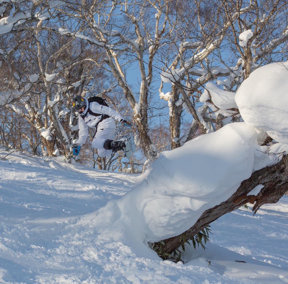 alimohamedchia's tweet photo. Niseko japon 🇯🇵💙 https://t.co/9o4UWZAYe2