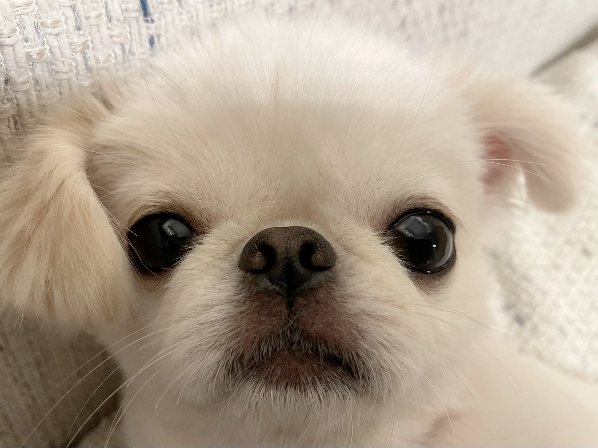 oonoaki (@boo90771163) / X