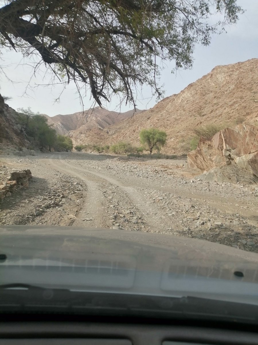 AbuShih01129299's tweet photo. @NASERALJSSASI @sad01231 أبو سيف وماذا عن رصف طريق وادي ضلع https://t.co/iDZcA5MCv3