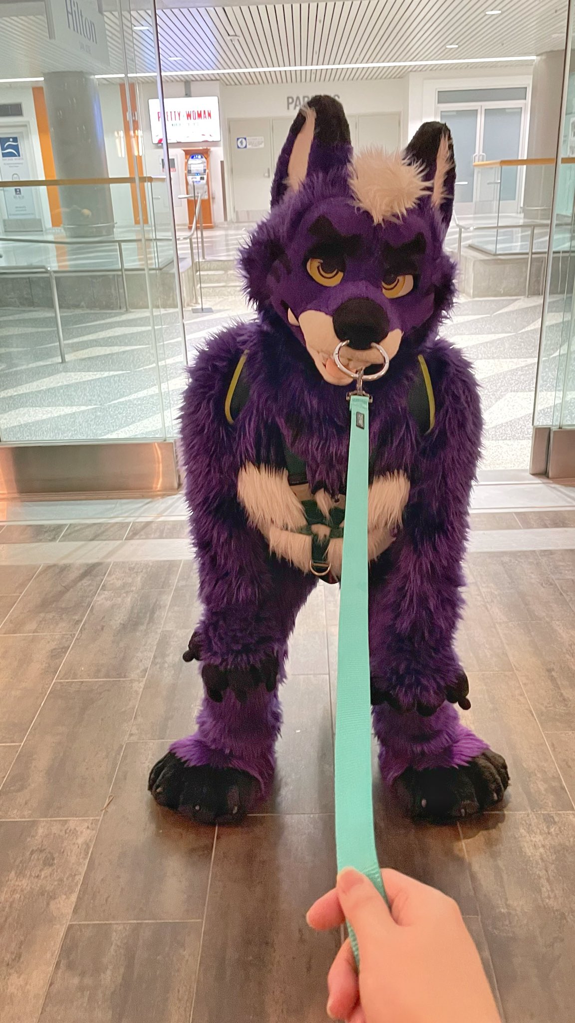 Polycereal 杂粮 on Twitter "Do you ever know that I knew how to lap dance? 😉 This is a lap dance