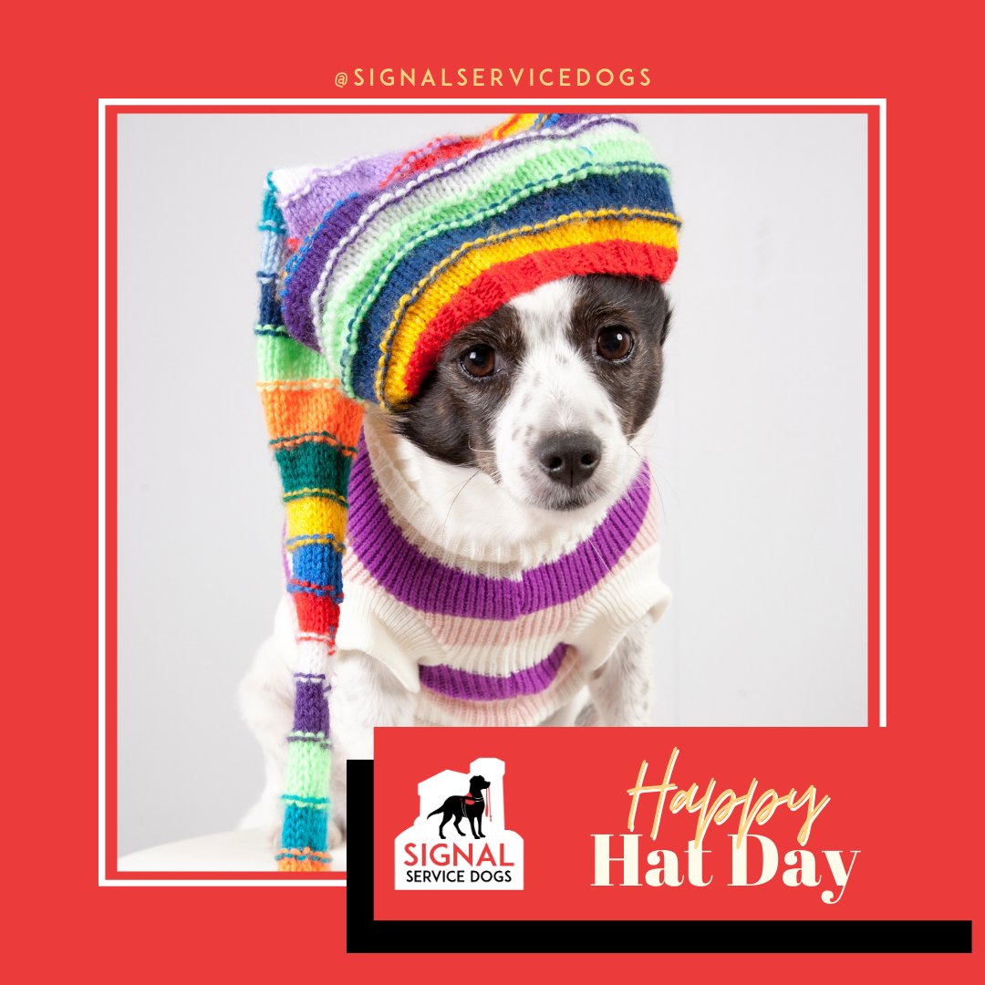 You may not have a thinking hat, 
but you can always buy a fashion hat!! :)

Even better, if it comes with a cute dog!! lol!

#HappyHatDay
#ServiceDogsNL
#GoodDog
#DogTraining
#MentalHealthAwareness
#MentalHealthAdvocate
#BarkHappy
#DogsAreTheBest
#DogsForLife
#MentalHealth