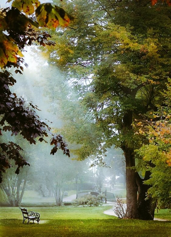 MetaRelaxCh's tweet image. Have a relaxing Sunday 😁❤