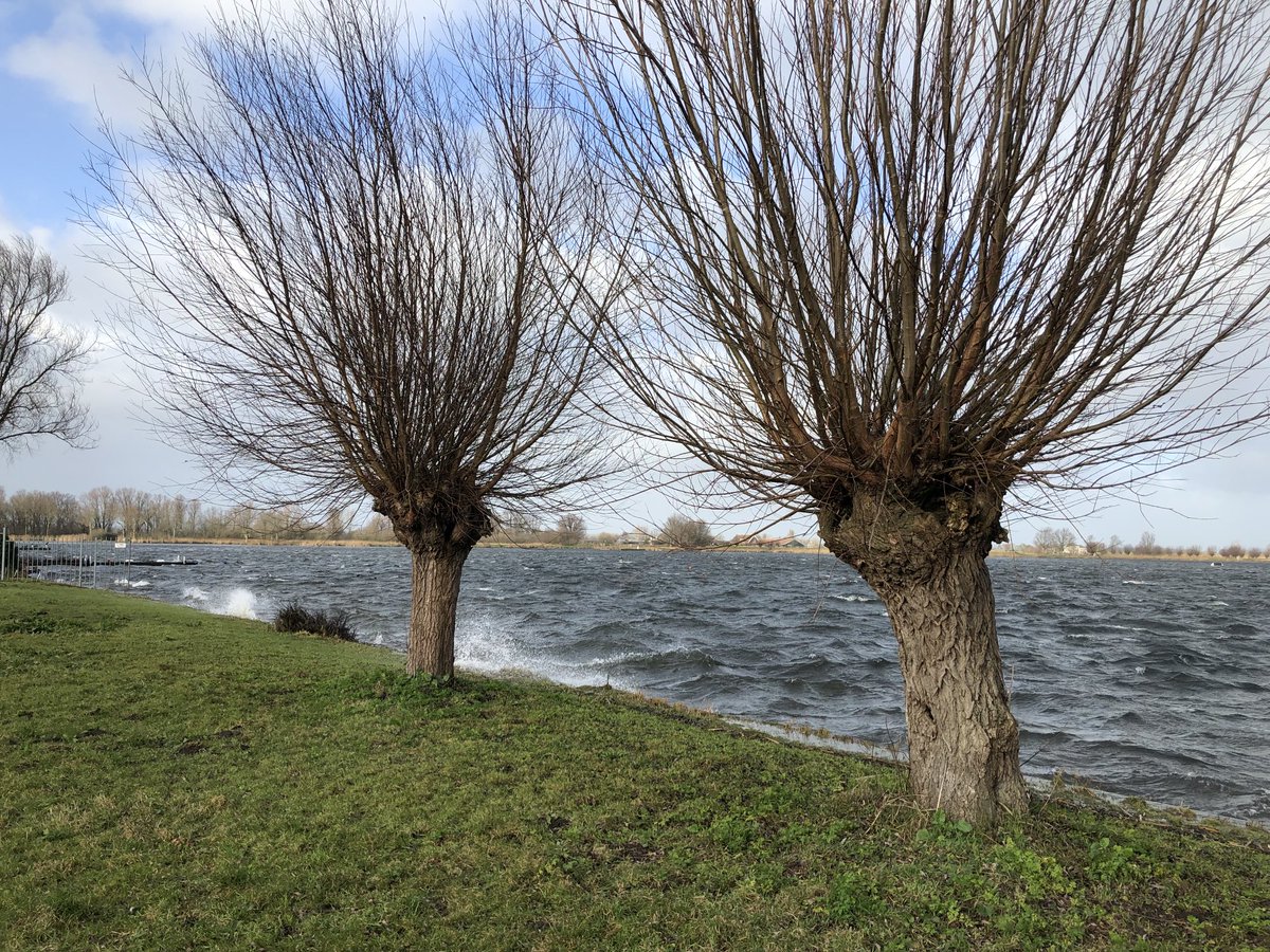 JolandaBakkker's tweet image. ⁦@WNLVandaag⁩ #wnl #onstuimig #wind ⁦@ricoschroder⁩