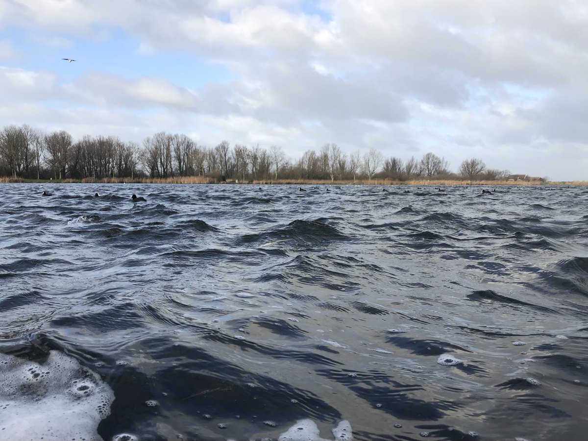 JolandaBakkker's tweet image. ⁦@WNLVandaag⁩ #wnl #onstuimig #wind ⁦@ricoschroder⁩