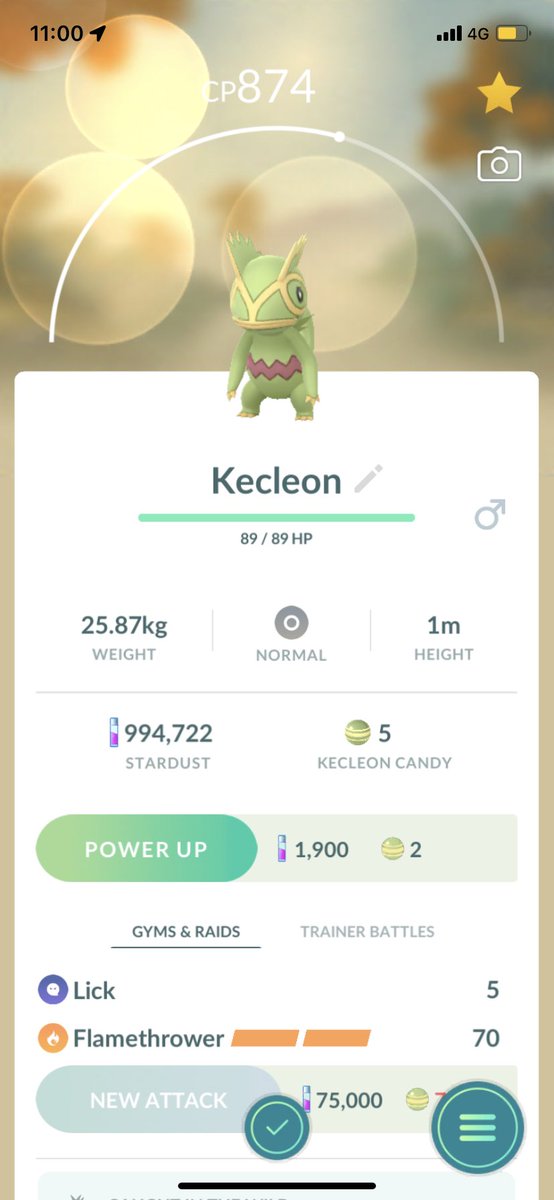 bearsiiie's tweet photo. Finally! #pokemongo #kecleon https://t.co/oPLUdHr5gk