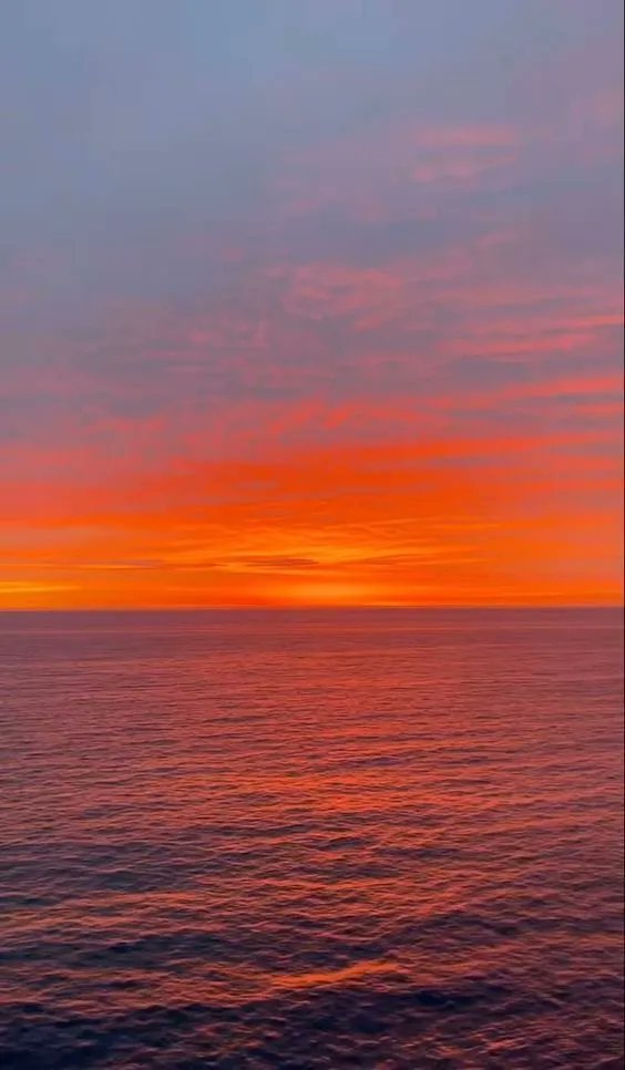 i could spend hours looking at this
