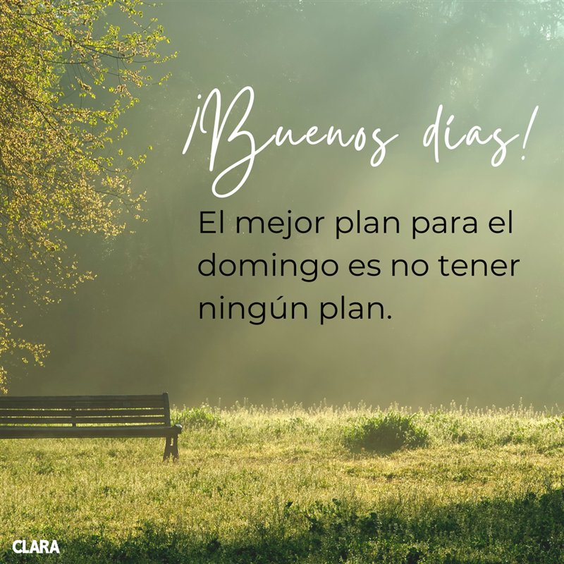 Feliz descanso.
Que tengan un excelente domingo.