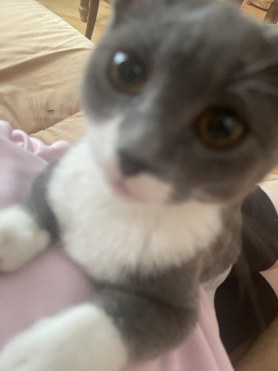 busova_a's tweet photo. Люблю машеньку https://t.co/NVuvwTieN4