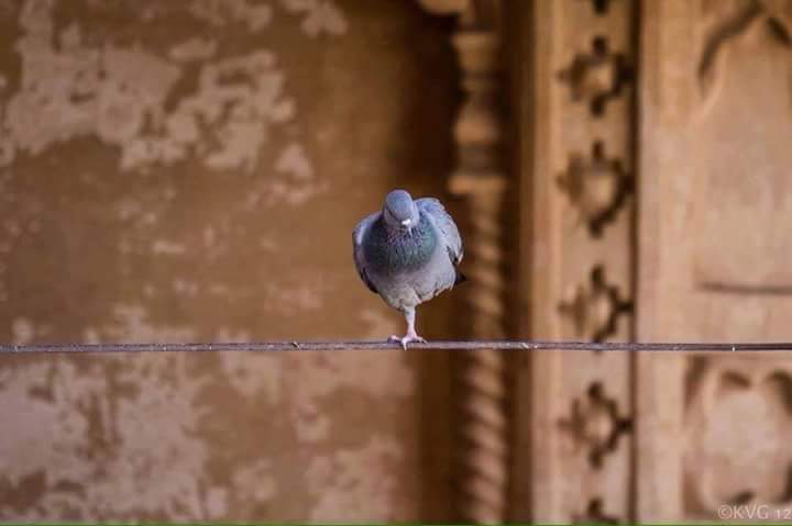 Allah'ım; yarattığın herkese ve her şeye muhabbet nazarıyla bakabilmeyi nasip et bize. 

Âmîn