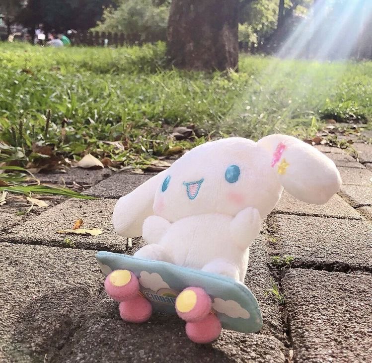sanriodaily's tweet photo. he is very cool https://t.co/pyPT0Y36K8