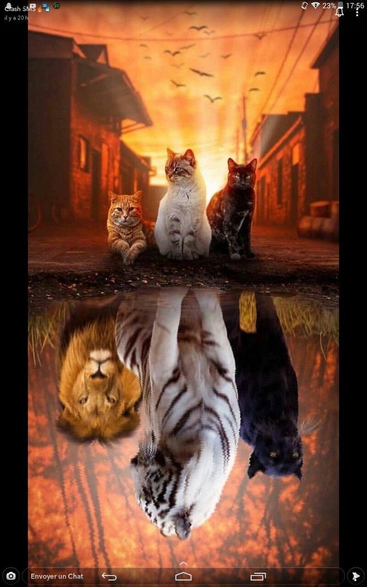 ミ⁠●⁠﹏⁠☉⁠ミミ⁠●⁠﹏⁠☉⁠ミ

.......#beautiful