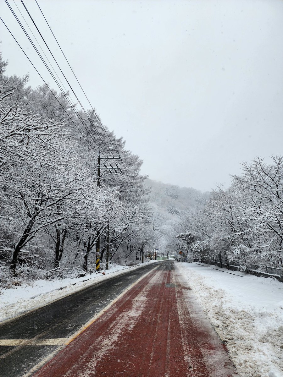 설경 드라이브하고 내려오니 눈녹듯 눈이 다 녹아버렸네
