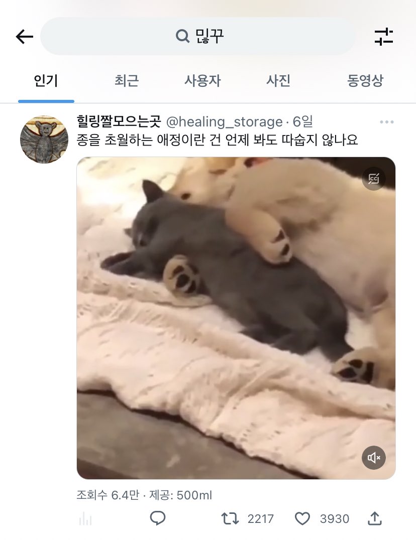 3Bj1cmc's tweet photo. 퐝당하네 믾꾸 잘알 ㅇㅈ https://t.co/oedWGm3LWG