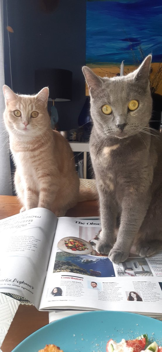 FeedMeRightMeow tweet picture