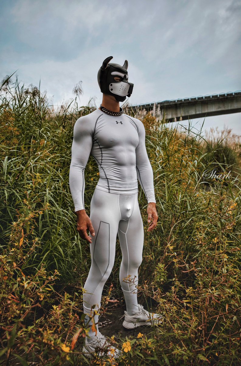 晨跑結束見主人<a href="/IceBox1069/">IceBox</a>