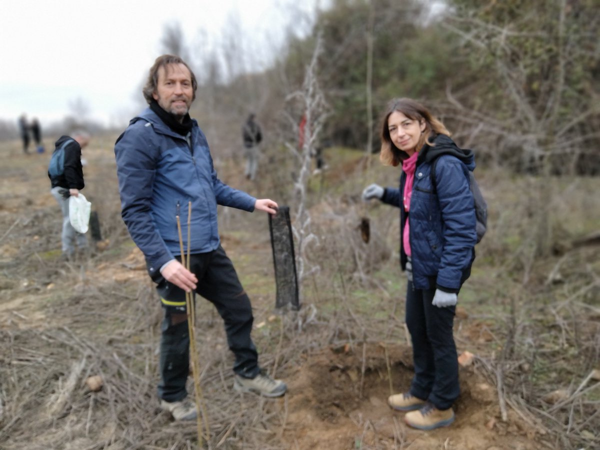 Gran jornada de plantación hoy en las Islillas para recuperar la vegetación degradada. Un pasito más cerca del nuevo bosque. <a href="/WWFespana/">WWF España 🐼</a> <a href="/AytoMejorada/">Ayuntamiento de Mejorada del Campo</a> ¡Gracias a todas las personas voluntarias!
