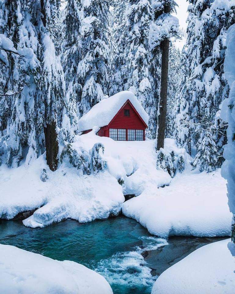 2023_uzb's tweet image. 