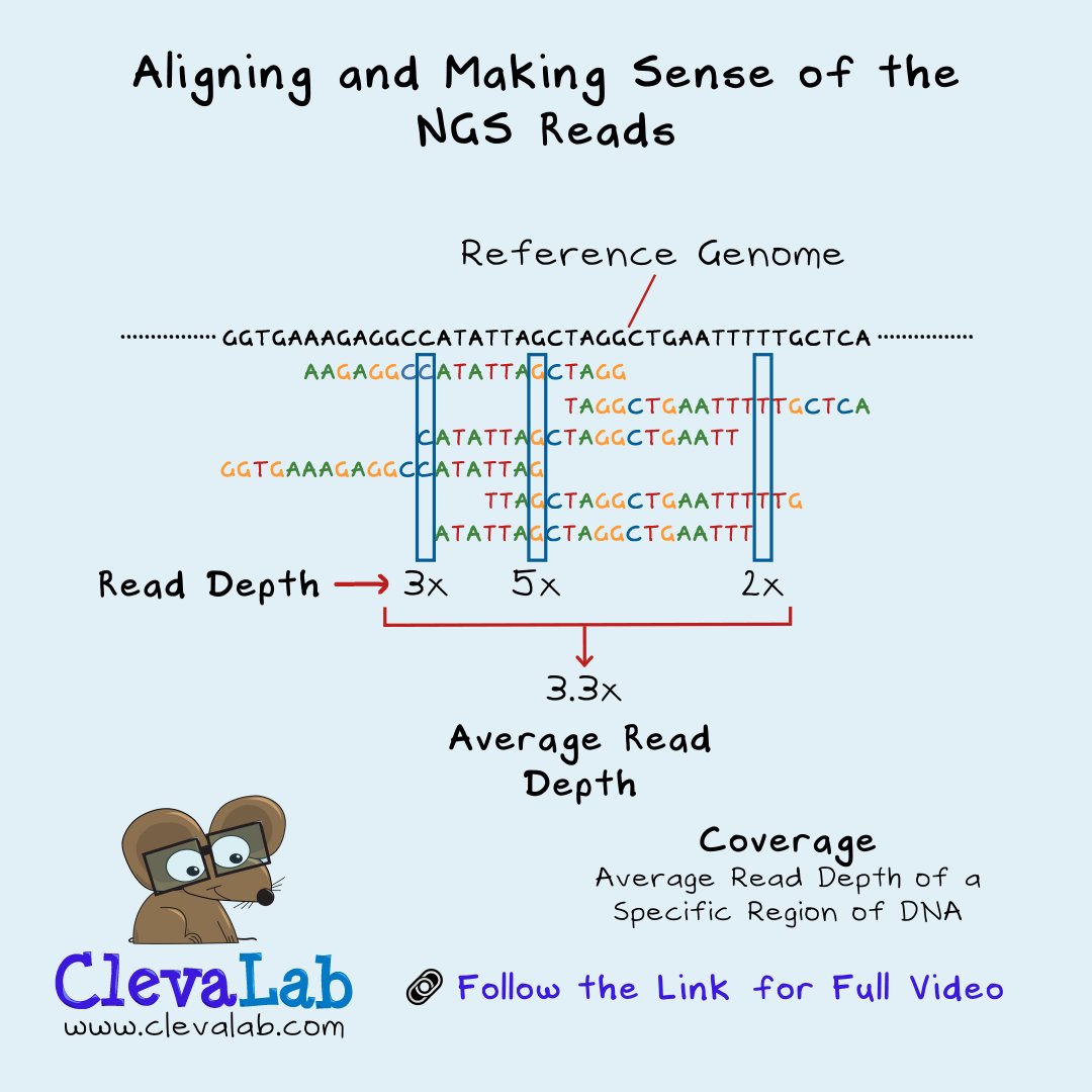 Aligning and Making Sense of the NGS Reads. 🤓⁠
⁠
Sequenced reads get mapped to the reference genome.

Follow the link for the full NGS video. 🔗 youtu.be/WKAUtJQ69n8

#genomics #dnasequencing #scicomm #science