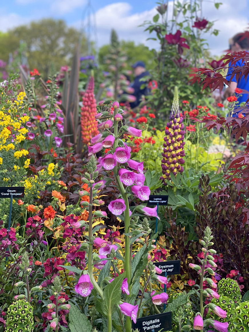 Beaulieu_Hants's tweet photo. We can't wait for the BBC Gardeners' World Spring Fair, when Adam Frost will be joining us! 😀 See Adam live on stage on the Sunday, as he shares tips and advice. Buy your tickets now for the show, taking place 28th to 30th April 🌺🌻 https://t.co/fDmM4R6dKW #BBCGWSpringFair https://t.co/MS7zFdu8LS