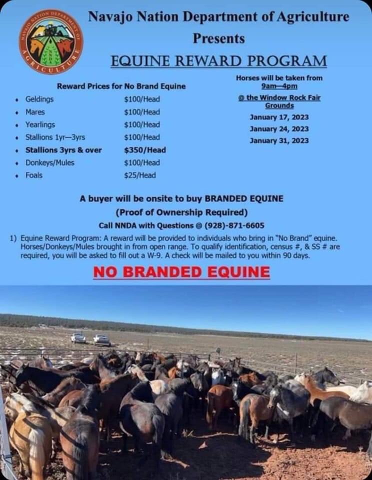 I wonder how many wild horses and burros will be driven onto the reservation and sent to slaughter?