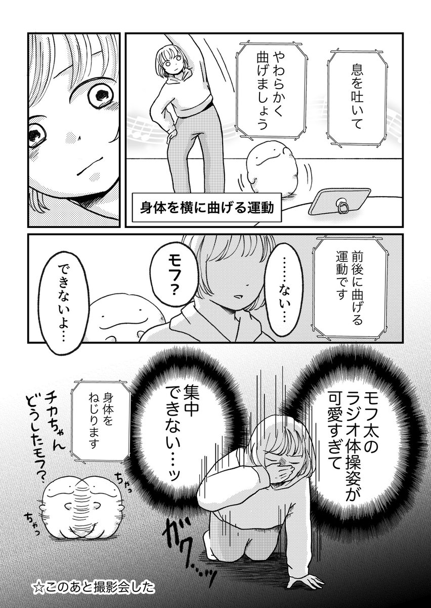 【モフ太日常編】
運動不足には○○がいいらしい 