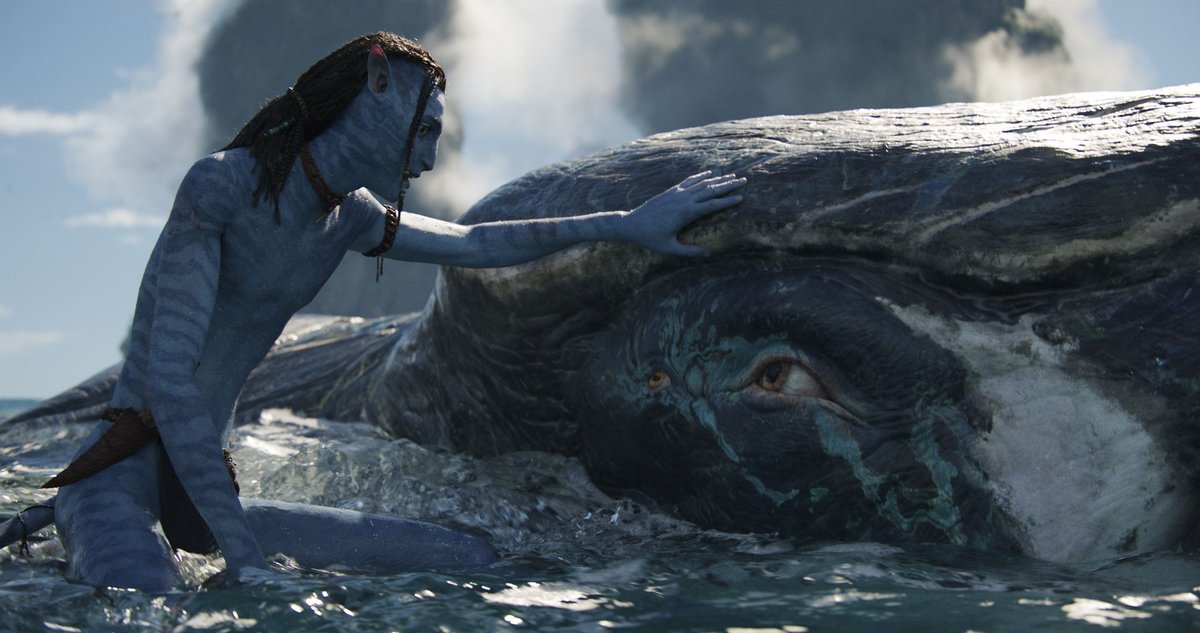 officialavatar's tweet photo. Return to Pandora. Become a part of the phenomenon and experience it in 3D in theaters now.

Get tickets: https://t.co/e7tDD9ES46 https://t.co/qDVZBOrQV9
