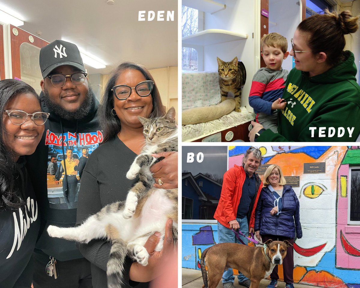 bmorehumane's tweet photo. Eden, Bo, and Teddy have headed home with new families to love them! Ready for a new love? Adopt! https://t.co/c0gH6oqjup.
#Adoptapet #BaltimoreHumane https://t.co/lTB8sR9If1