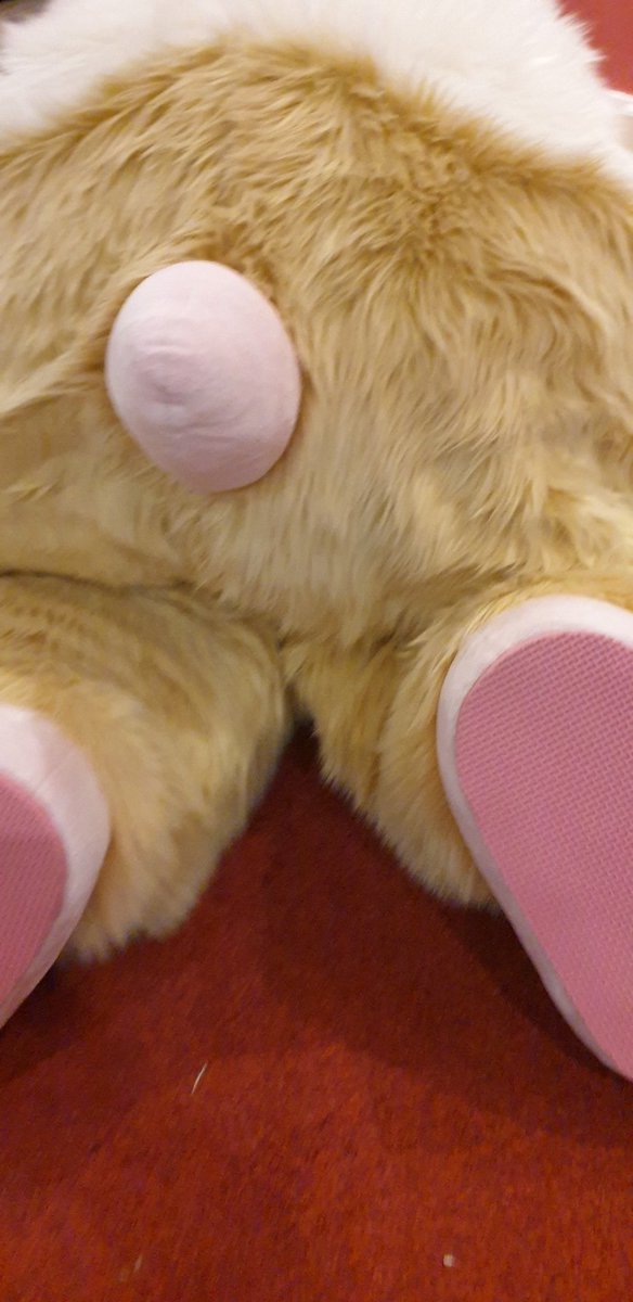 Peanut looking forward to @scotiacon butt lol