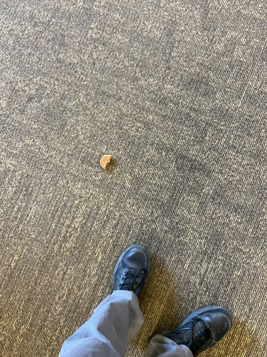 ESciProf's tweet photo. After church, I dropped part of a molasses cookie on the floor. Ate it. #PerfectlyGood church fellowship molasses cookie. https://t.co/xSzMbthT3B