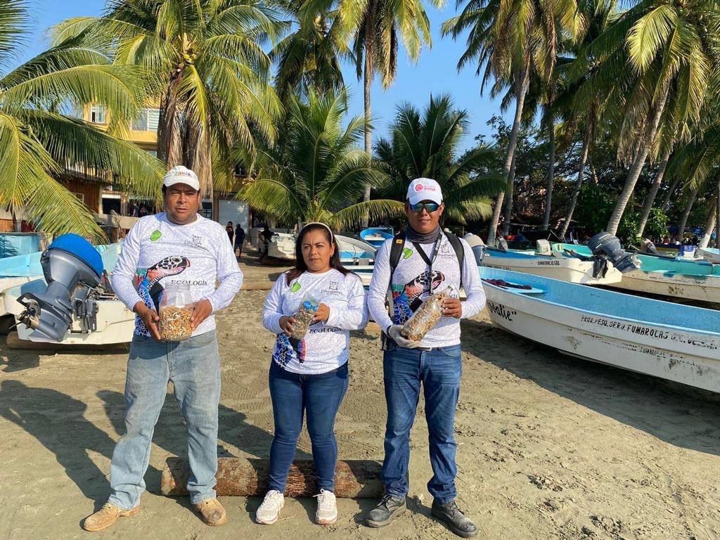 jorgexsa's tweet photo. Porque #TeQuieroZihua seguimos trabajando intensamente en la limpieza de nuestras playas. Mi reconocimiento al equipo de la dirección de Ecología que permanentemente realizan estas acciones.
#PlayaPrincipal https://t.co/e7bO78bhIS