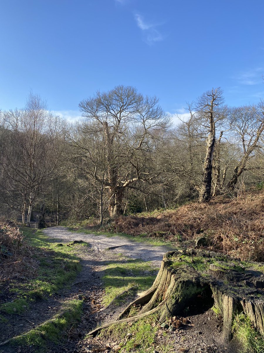 PamBahia1's tweet photo. Iโm half way through the @MiscarriageA #StepUpForTheMA challenge and today Iโve pushed past the 100k mark ๐ ๐๐ฝ
https://t.co/3EXVVRsH1m
๐ท: Shorne Woods Country Park https://t.co/xmUP7q7MRN