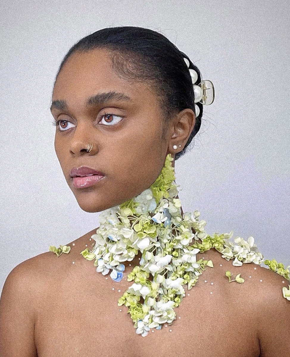 Zay on Twitter "RT KikiMarrs where the flowers bloom BlackOutBTS"