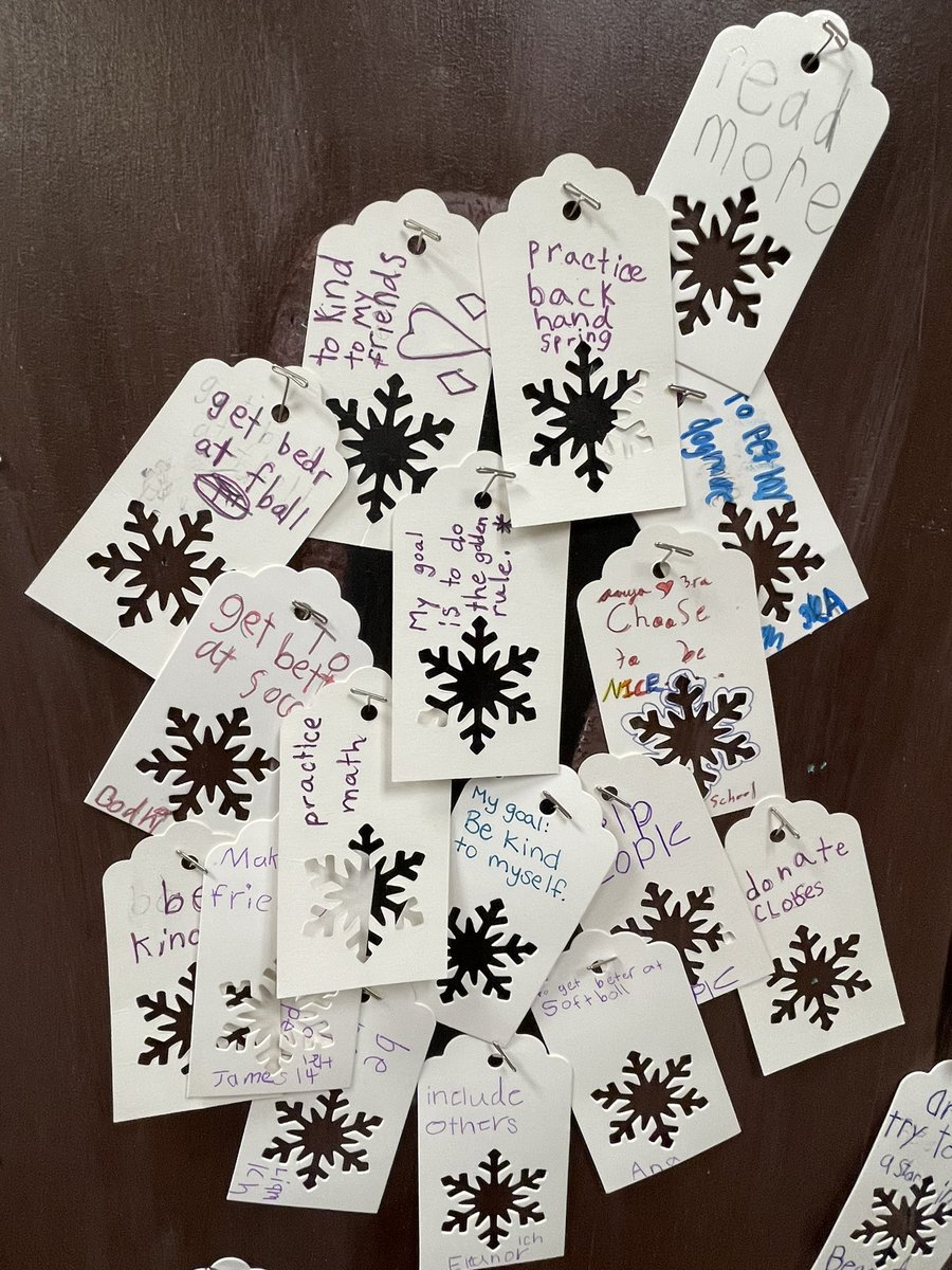Our New Years’s resolutions and goals look beautiful as snowflakes on our Wishtree!
