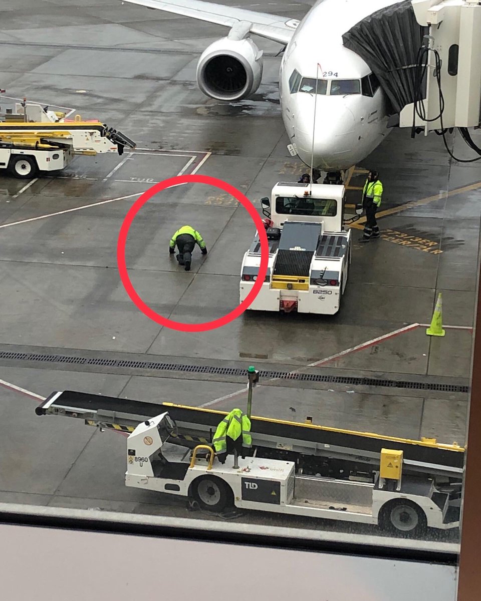 JackLaverty1's tweet photo. Hmmm - I’m thinking there should be a push-up challenge from the tarmac all the way up to the C Suite. What do ya think @AlaskaAir ? https://t.co/vnwAzwLVGK