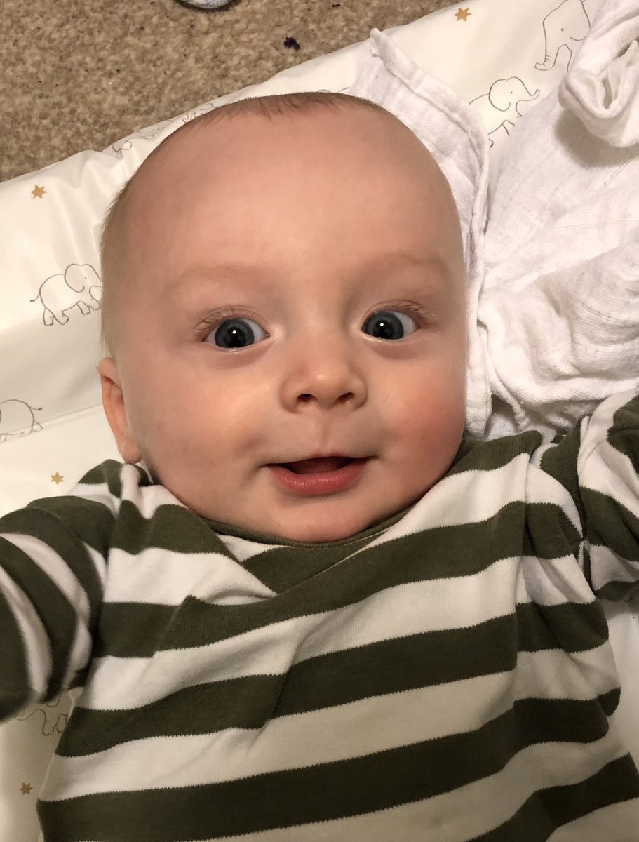 Dr Katherine Wood tweet media