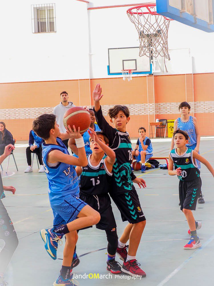 adecgoleta's tweet photo. 📌 RESULTADOS | Liga @FAB_Malaga | J8ª | Fase Previa🥇

😰 Mini’11 Masculino 5️⃣1️⃣ - 7️⃣4️⃣ @CABESTEPONA 

Caemos ante un gran equipo pero sacamos cosas positivas que nos ayudan a seguir creciendo. Buen trabajo‼️

#SomosTUequipo💙
#vamosgoleta🏀 https://t.co/VRjN2F6gOy