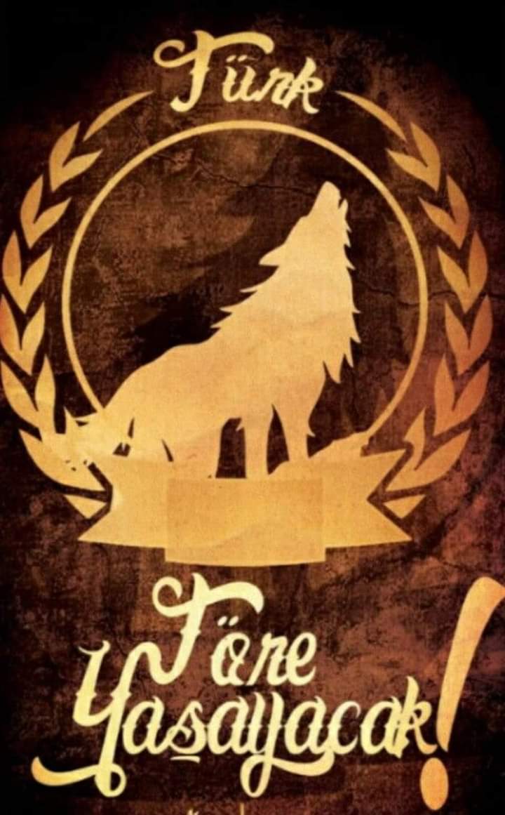 Kamil Aykaç (@kamilayka2) on Twitter photo 