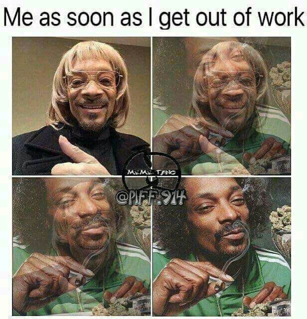 gopolan_Jupiter's tweet photo. Every Fucken Day😂😂 https://t.co/VWVrcq8Zt1