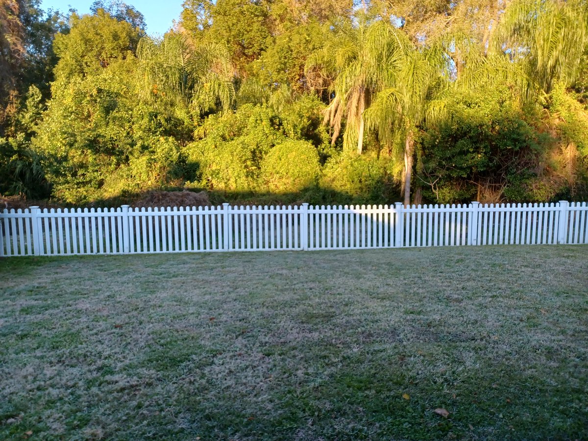 RoadtoFruition's tweet photo. Winter returns to West Central #Florida
Frost in Lutz #flwx @NWSTampaBay @StormTrackerJoe https://t.co/GELRwO9v1q