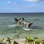 e-1のツイート画像