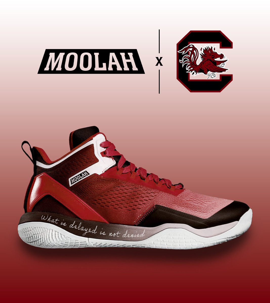 TheClementW's tweet photo. What if @moolahkicks made a special @GamecockWBB colorway of their Neovolt Pro shoe? And featured the @dawnstaley “What is delayed is not denied” quote on it?
With @dh3nny as a brand ambassador in the #WNBA, it would be neat to see happen!
#MoolahKicks https://t.co/rFlF5e7I0q