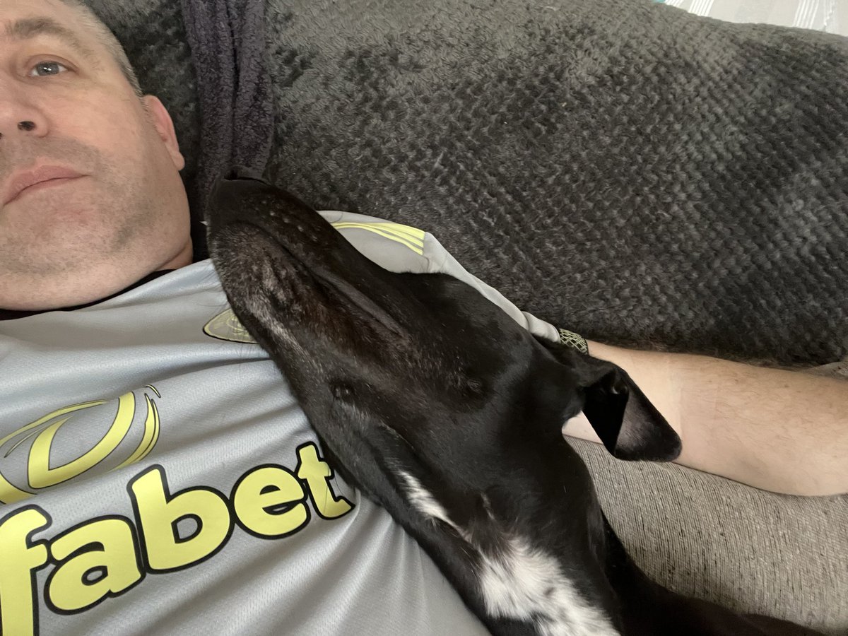 samboyd4097's tweet photo. When you try to watch Pirate Gold of Adam Island #puppy #cuddle #notalapdog https://t.co/X6vXoQbEfu