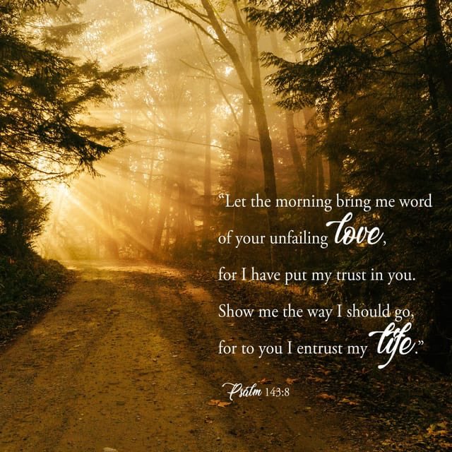 bible.com/bible/59/psa.1…