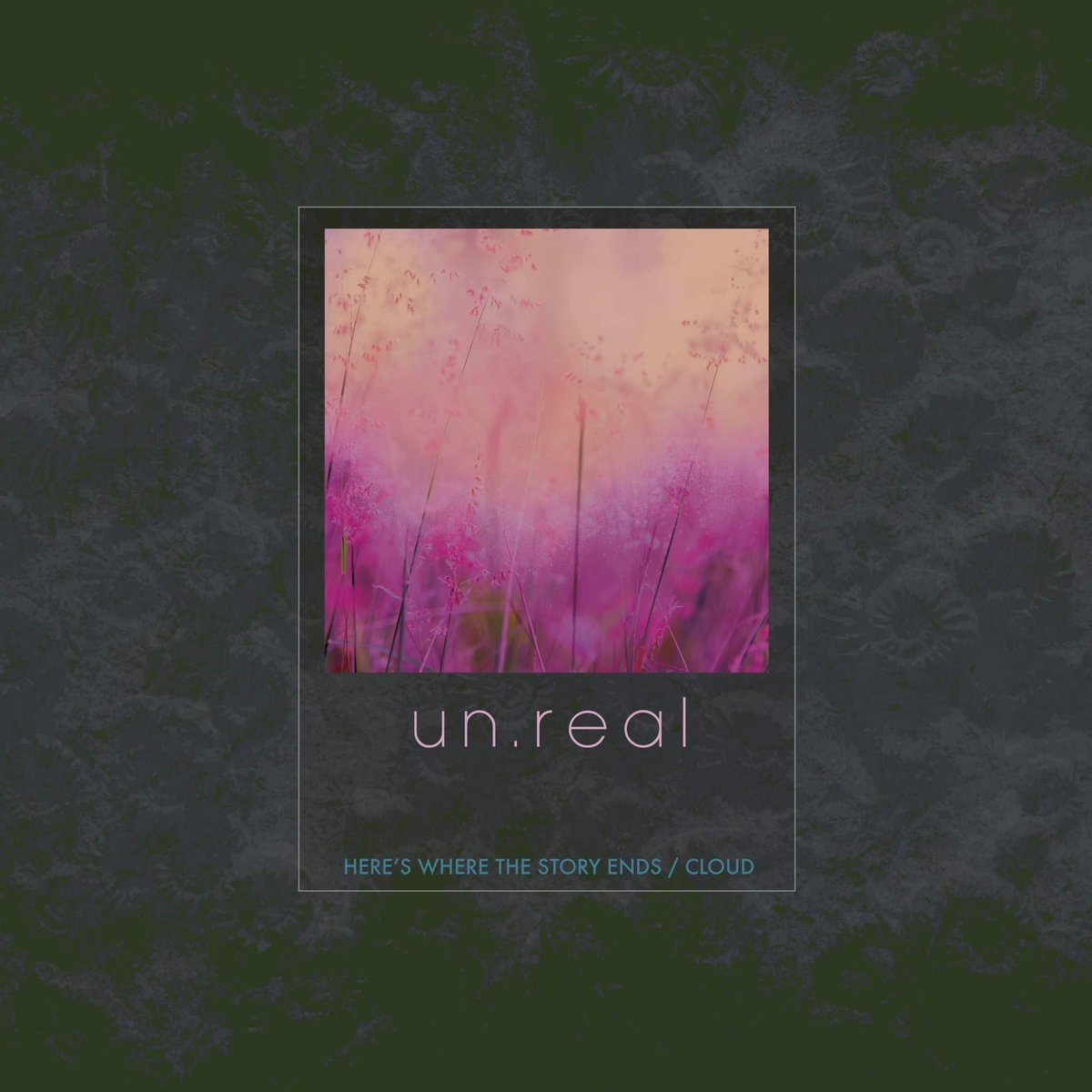 Salutations Mr. <a href="/Tim_Burgess/">Tim Burgess</a> we just wanted to say that you were our inspiration for doing <a href="/TheSundays__/">The SUNDAYS</a> cover. open.spotify.com/album/0XRUzyEG…