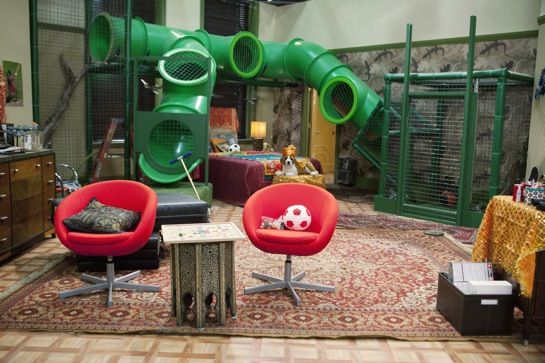 solo los de verdad reconocerán esta habitación